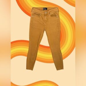 GAP Denim Mustard Leggings